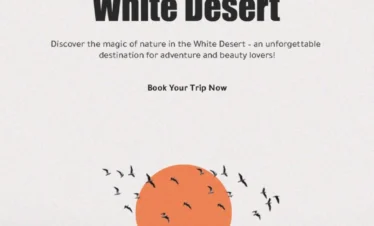 White Desert