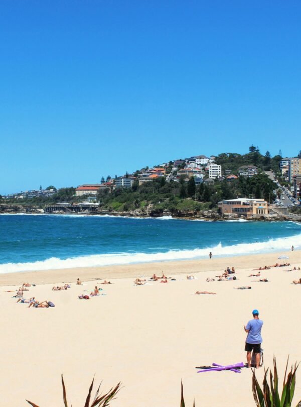 pexels-wingspan-artist-520121420-16323069